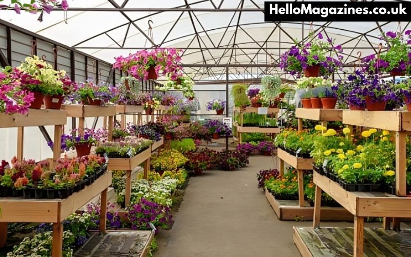 The Benefits of Plant Nurseries Webfreen.com