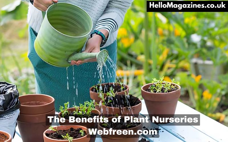 The Benefits of Plant Nurseries Webfreen.com