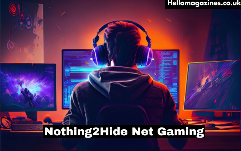 Nothing2Hide Net Gaming